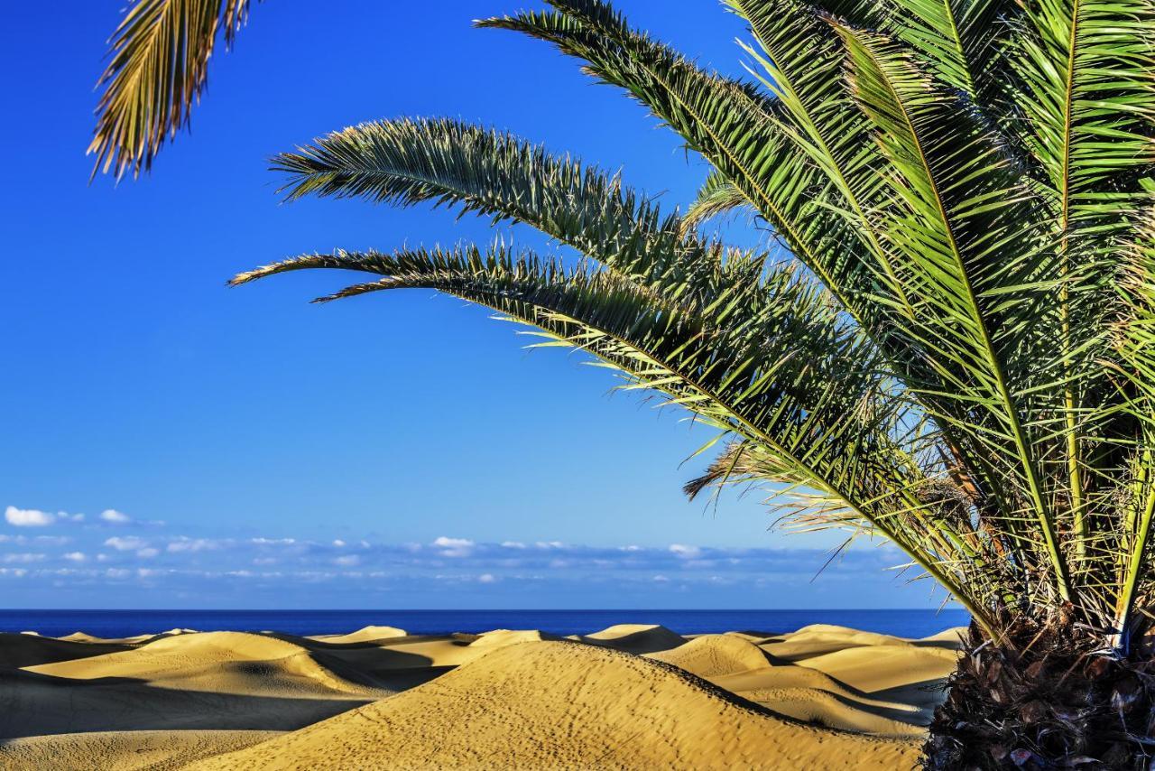 Las Adelfas South Beach 5 By Canariasgetaway San Bartolomé エクステリア 写真